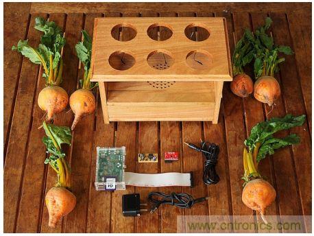 害怕圣誕節沒創意？看看發燒友們怎么過圣誕