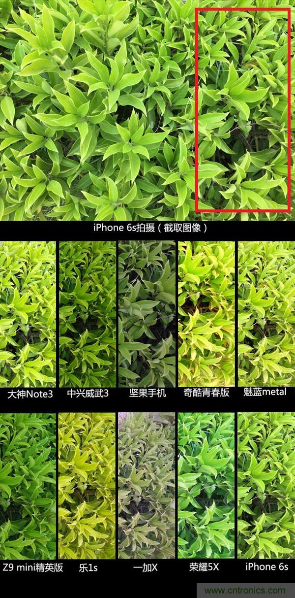 2015年9款千元智能手機橫評：誰才是紅海霸主？