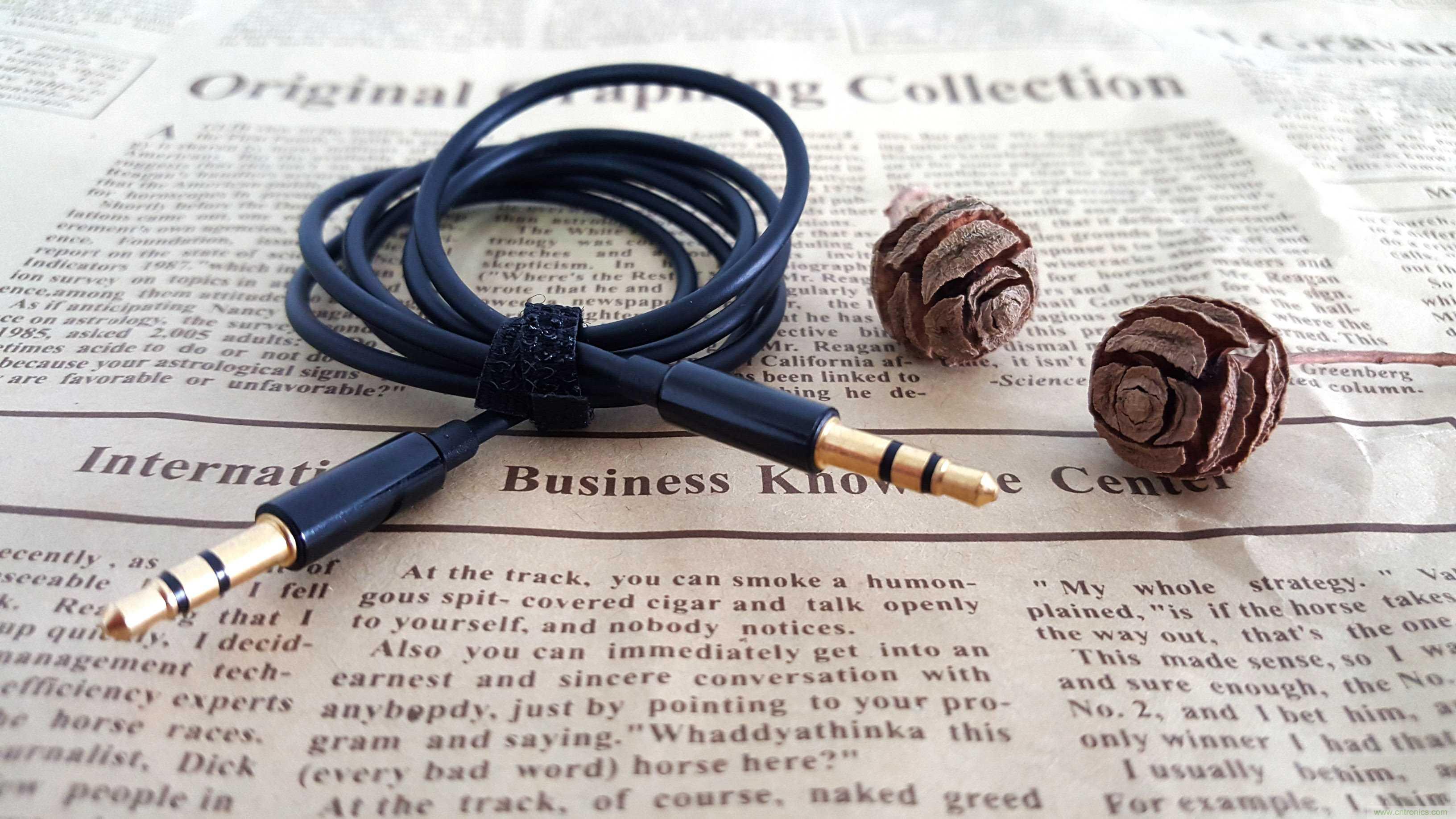 搞怪&ldquo;美人魚&rdquo;盡享靈克藍(lán)牙音箱的天籟之音！