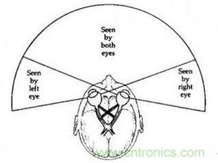 雙目重疊技術(shù)在VR中有什么作用？