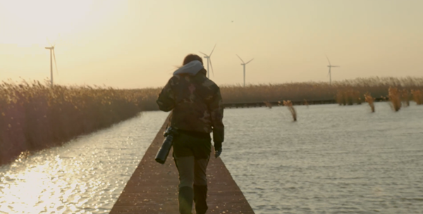 世界濕地日：海康威視攜手一個地球自然基金會，在上海守護(hù)這個重要“驛站”