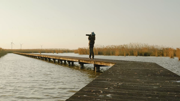 世界濕地日：海康威視攜手一個地球自然基金會，在上海守護(hù)這個重要“驛站”